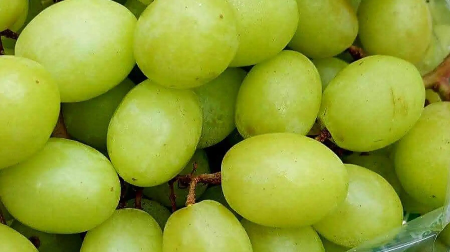 uvas (1)